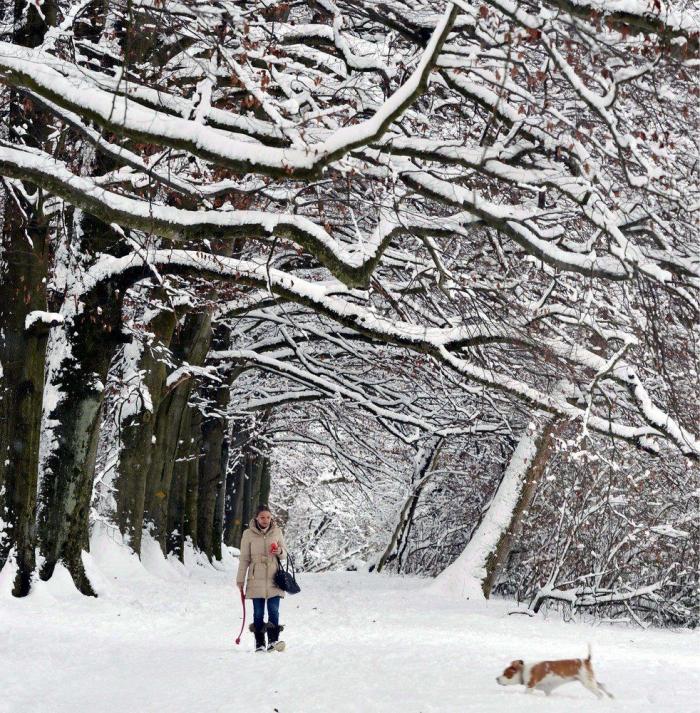 Invierno de 2012: llega a las 12.12 del viernes y será el más corto desde hace siglos (FOTOS)