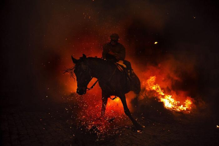 Luminarias 2013: espectaculares fotos de caballos saltando hogueras