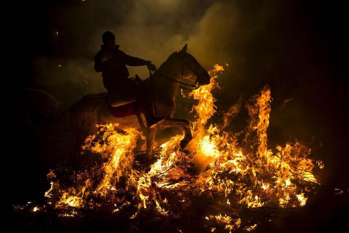 Luminarias 2013: espectaculares fotos de caballos saltando hogueras