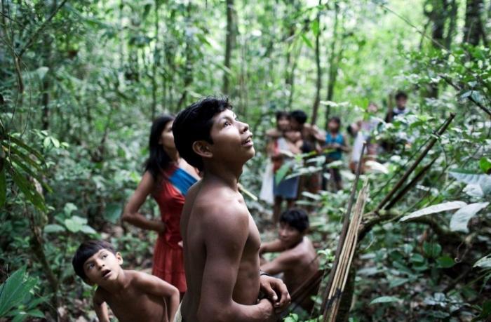 Decenas de diputados británicos instan a Brasil a salvar a la 'tribu más amenazada de la tierra' (FOTOS, VÍDEO)