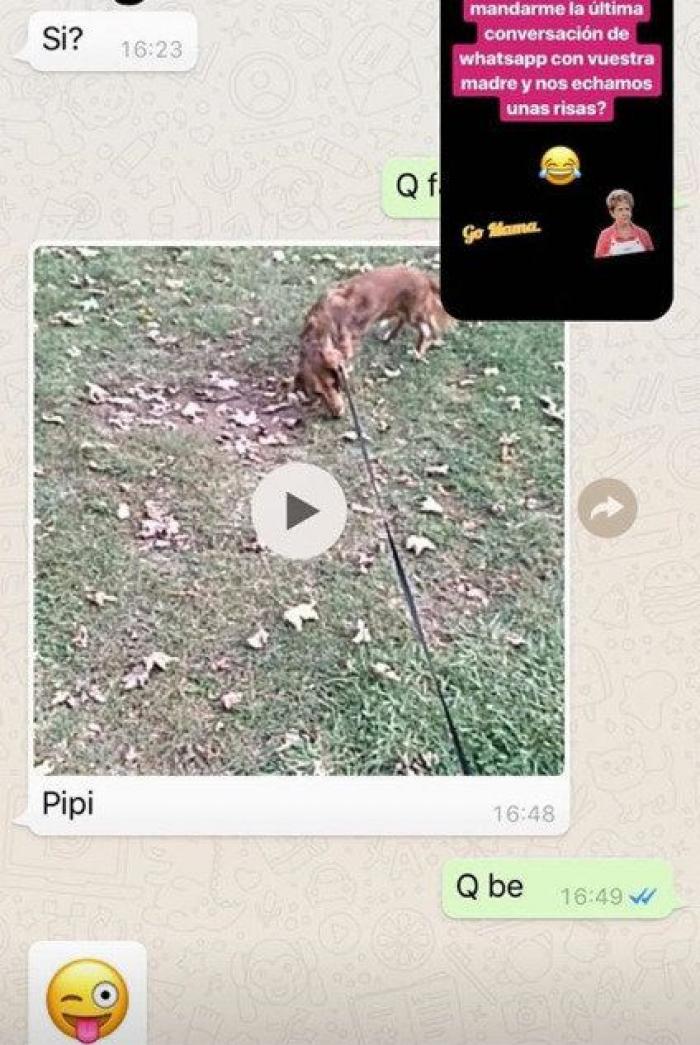 Su madre le dice por WhatsApp dónde está y la conversación que sale de ahí maravilla a España