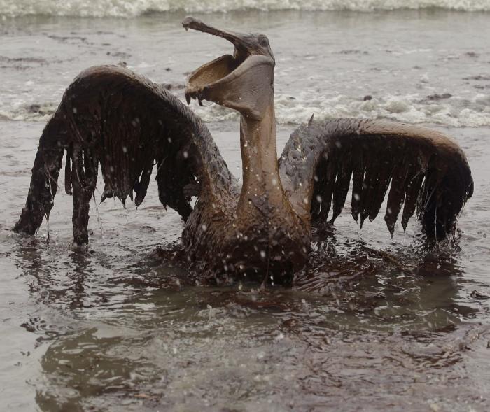 Vertido en el Golfo de México: 11 fotos para recordar la tragedia por la que BP acepta una multa récord