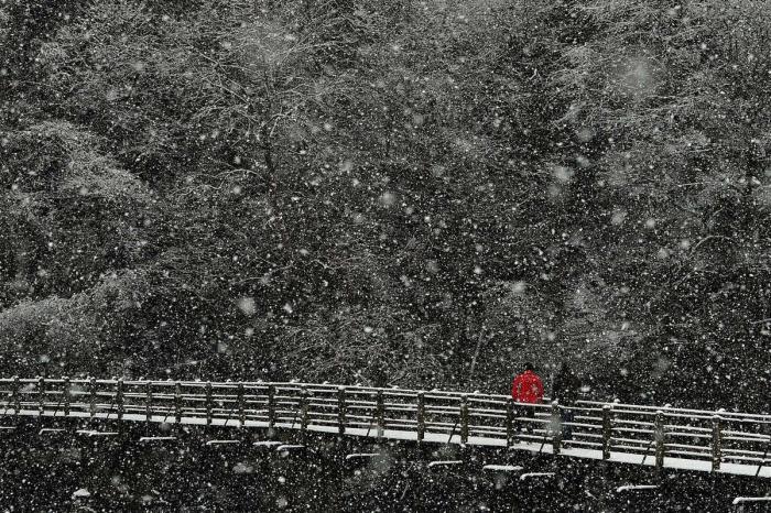 Tokio, París y otras ciudades convertidas en postales de nieve (FOTOS)