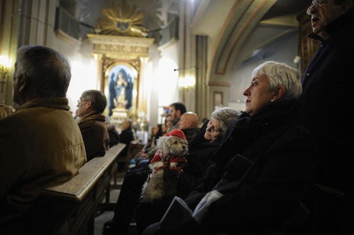 Bendición de animales por San Antón: camaleones, cabras, perros, hurones y gatos en la iglesia (FOTOS)