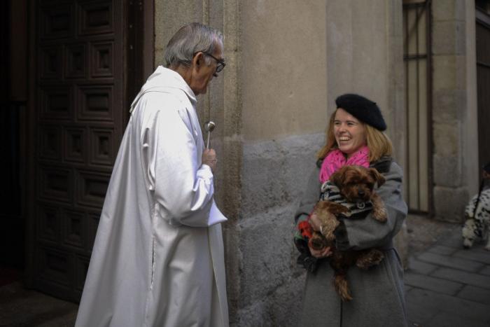 Bendición de animales por San Antón: camaleones, cabras, perros, hurones y gatos en la iglesia (FOTOS)