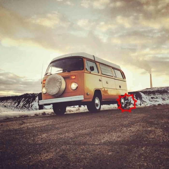 "Dónde está Wally", versión Instagram: el perro que nunca ves al primer vistazo (FOTOS)