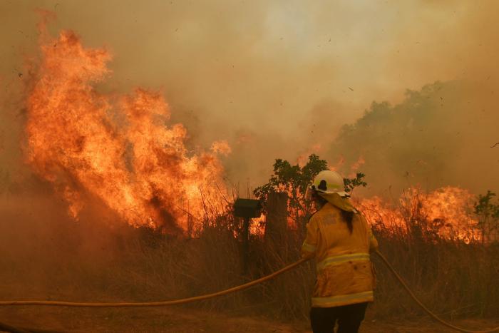 Más de 150 incendios forestales continúan activos en el este de Australia y se acercan a Sidney