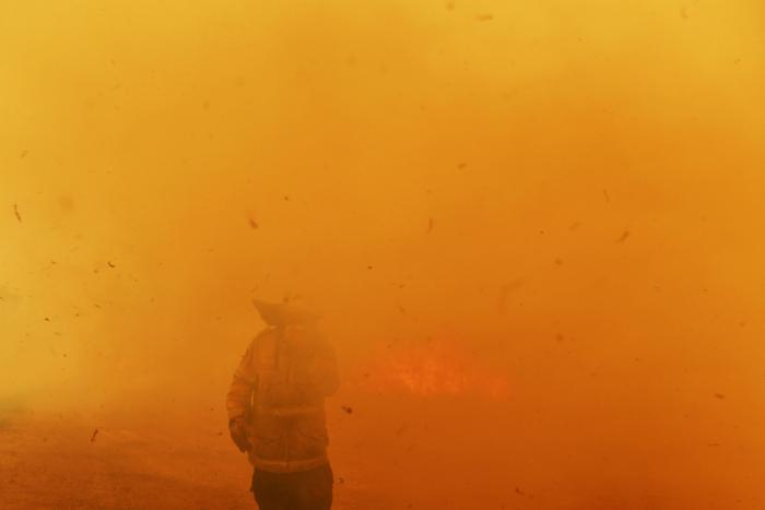 Más de 150 incendios forestales continúan activos en el este de Australia y se acercan a Sidney