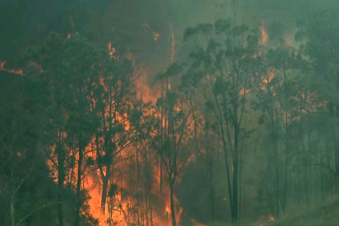 Los incendios forestales en Australia siguen creciendo y dejan cuatro muertos