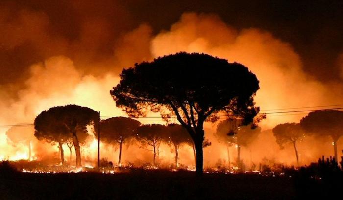 Incendio de Moguer, el más grande del año pero lejos de los más devastadores