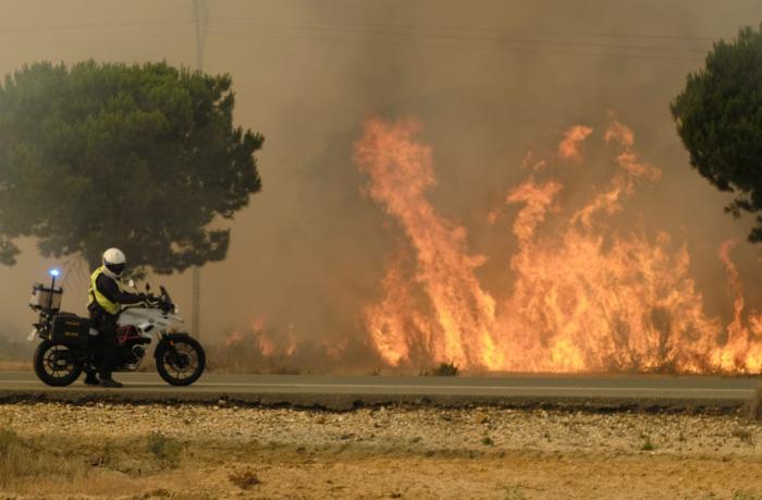 Dan por controlado el incendio forestal en el entorno de Doñana
