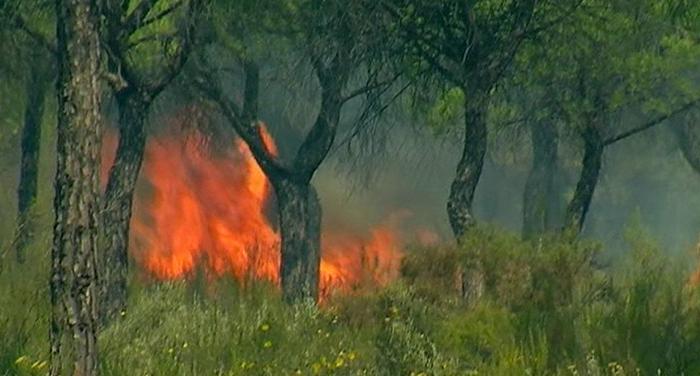 Estabilizado el incendio que se había declarado en Doñana