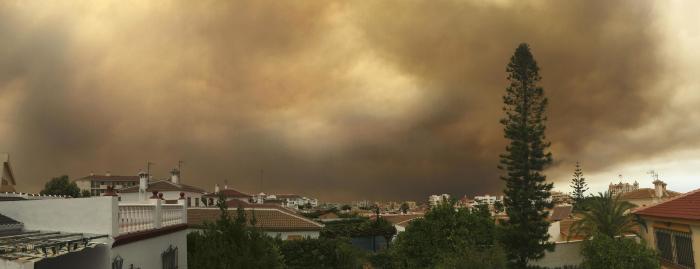 Estabilizado el incendio que se había declarado en Doñana