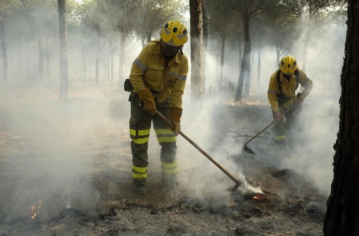 Dan por controlado el incendio forestal en el entorno de Doñana