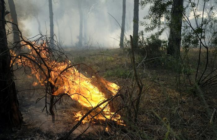 Incendio de Moguer, el más grande del año pero lejos de los más devastadores