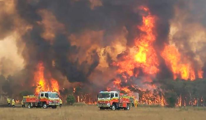 Incendios en Australia: la lluvia lleva la esperanza a los servicios de extinción