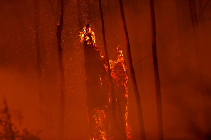 Éxodo masivo por la amenaza de un recrudecimiento de los incendios en Australia