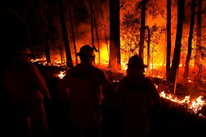 Australia lanza desde helicópteros comida a los animales afectados por los incendios