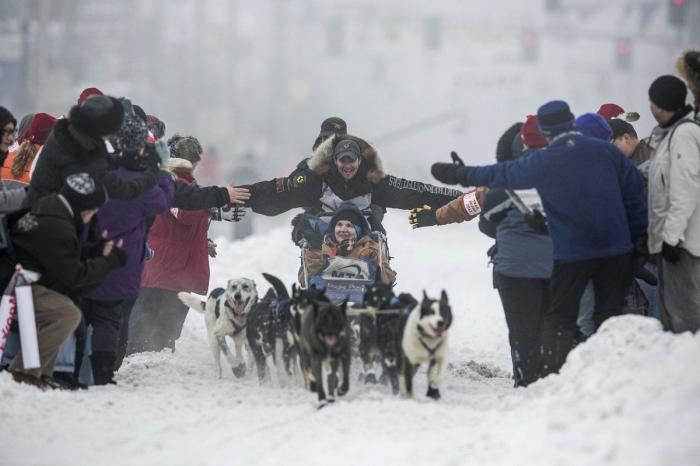 Bichinos en acción en Iditarod, la carrera de trineos tirados por perros más dura del mundo (FOTOS)