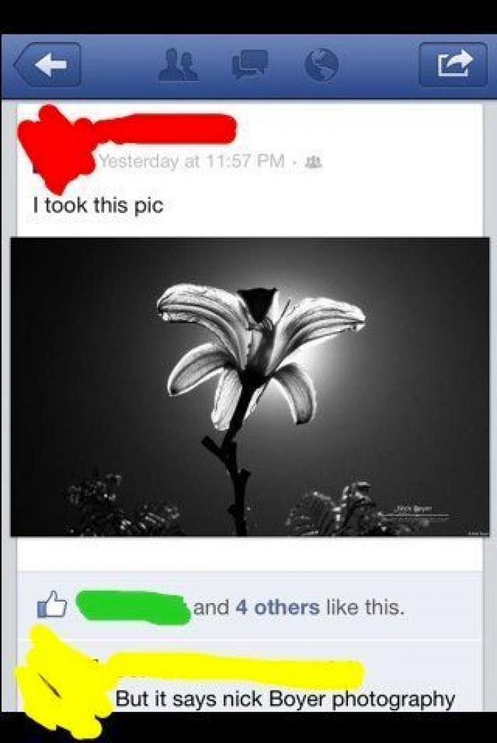 Respuestas en Facebook que merecerían un "me gusta"... o no (FOTOS)