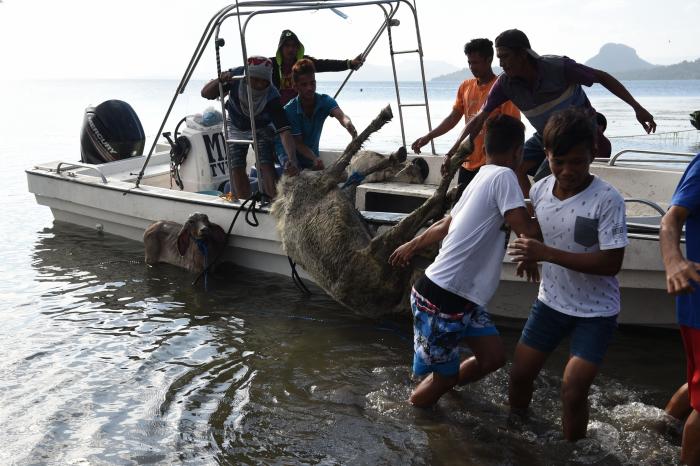 Al menos 45 muertos al estrellarse un avión militar en Filipinas