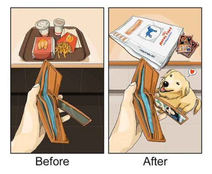 Nueve viñetas que explican lo que es la vida antes y después de tener mascota