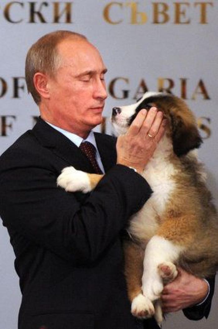 Putin estalla de risa después de que su ministro de Agricultura sugiriera exportar cerdo a Indonesia, un país musulmán