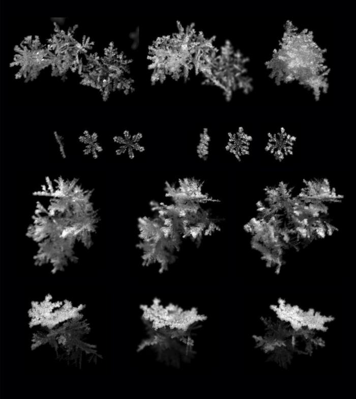 Copos de nieve: fotos al detalle de su forma al caer