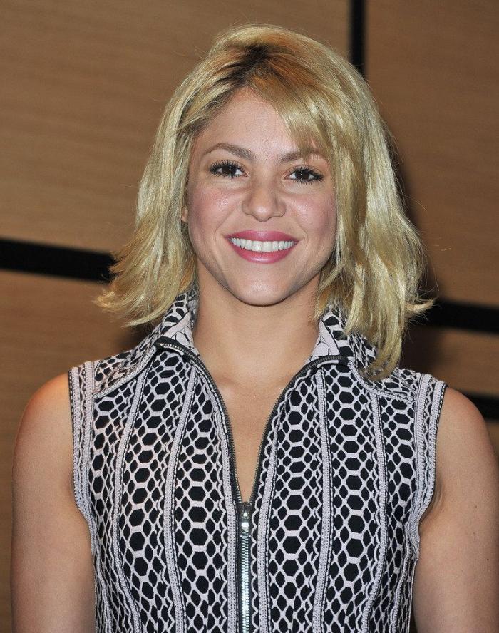 Shakira niega ante un juez español haber plagiado 'La bicicleta'