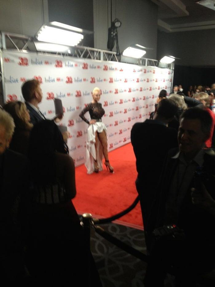 Premios AVN 2013: así es la alfombra roja de los Oscars del porno (FOTOS)