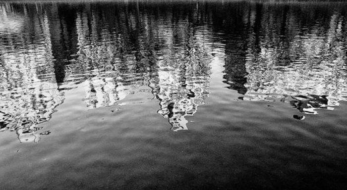 Paisajes reflejados en el agua: las fotos de los lectores