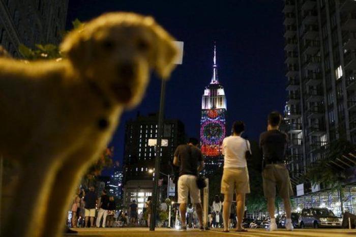 El Empire State se cubre de imágenes de animales en peligro de extinción (FOTOS)