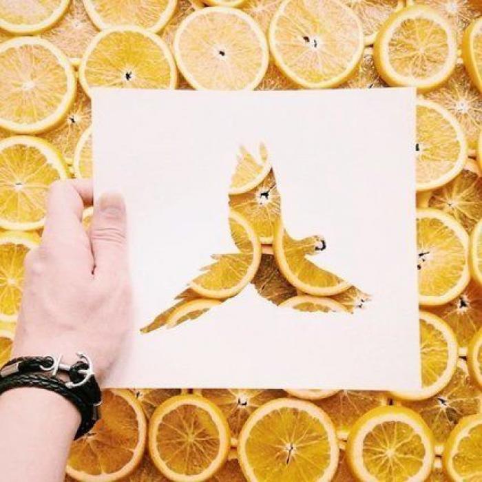 Con una hoja de papel y su amor por la naturaleza, este artista de Instagram crea las siluetas perfectas