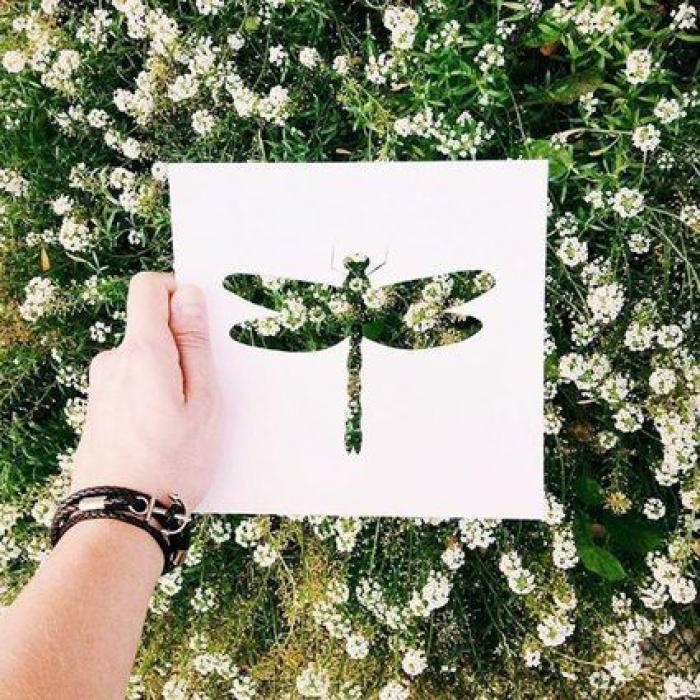 Con una hoja de papel y su amor por la naturaleza, este artista de Instagram crea las siluetas perfectas