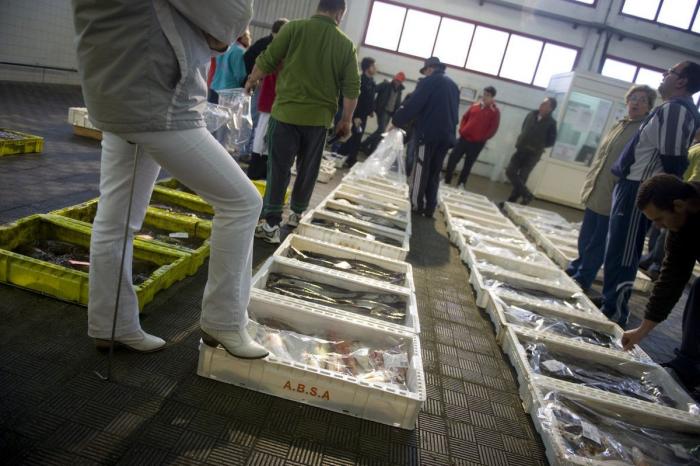 Detectados los primeros casos de anisakis tras consumir pescado congelado
