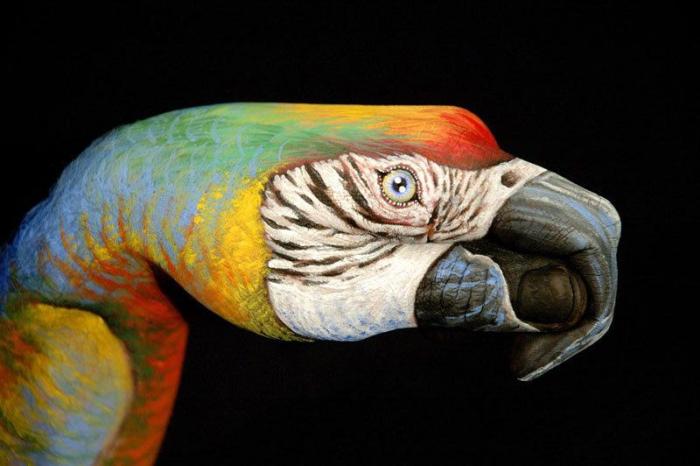 Pintura corporal: retratos realistas de animales en manos (FOTOS)