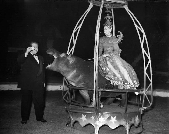 Circo 'vintage': fotos del espectáculo hace décadas (FOTOS)