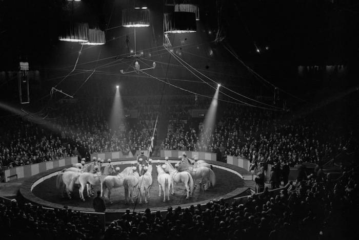 Circo del Sol: muere una acróbata durante un espectáculo en Las Vegas