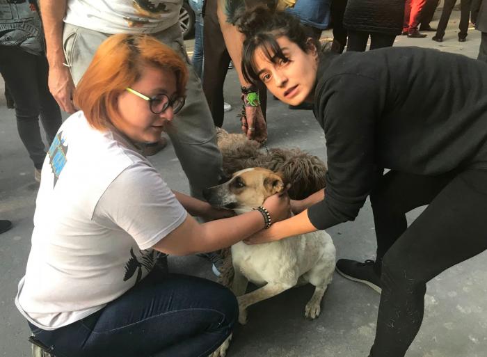 La emotiva imagen de un perro abrazando a su dueña tras el terremoto de México