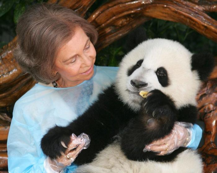 La Reina Sofía con pandas (FOTOS)