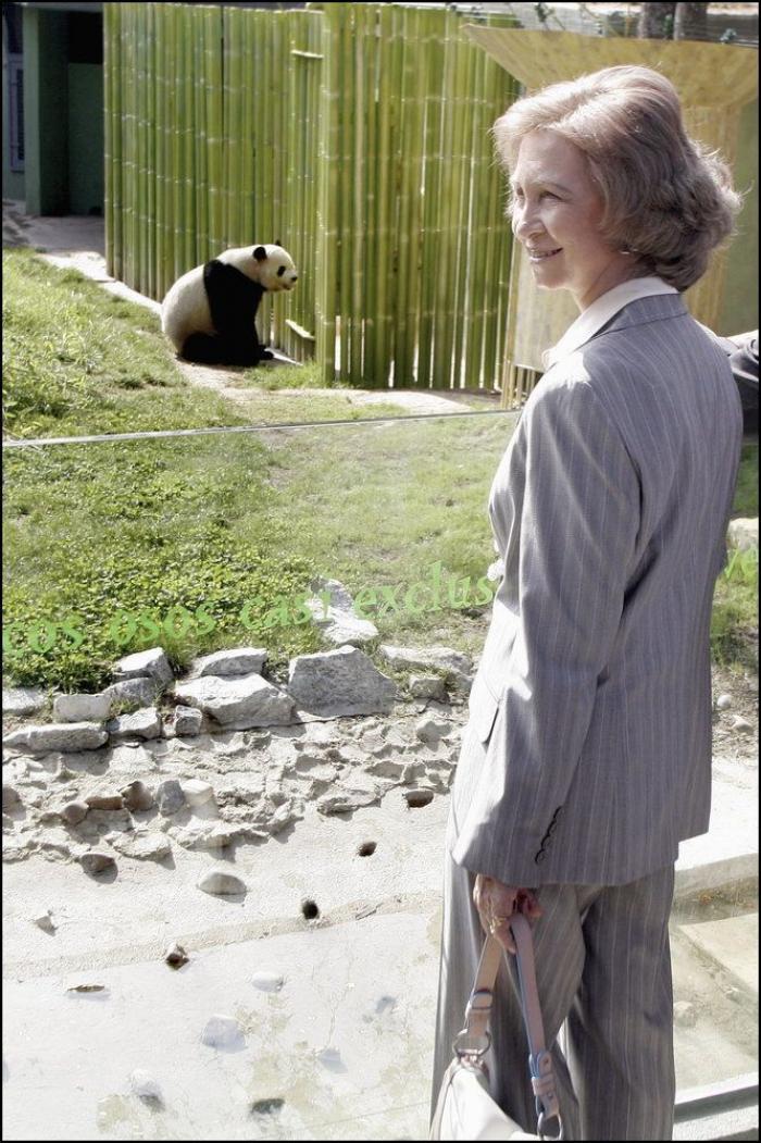 La Reina Sofía con pandas (FOTOS)