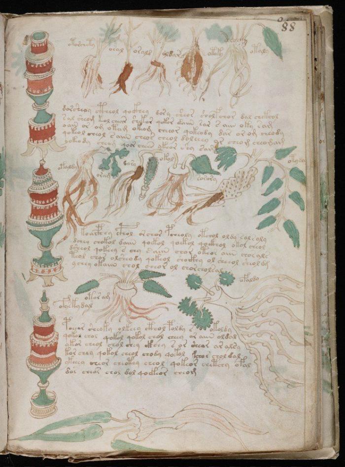 Vuelve el misterio del Manuscrito Voynich: contiene un mensaje, pero aún no se sabe cuál (FOTOS)