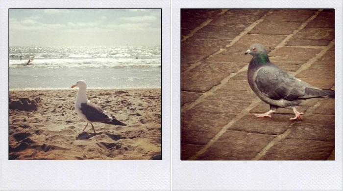 ¡Por fin! Un Tumblr parodia las fotos de vacaciones de Instagram (FOTOS)