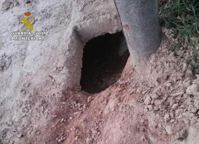 Encuentran nueve cachorros de labrador enterrados vivos en Murcia