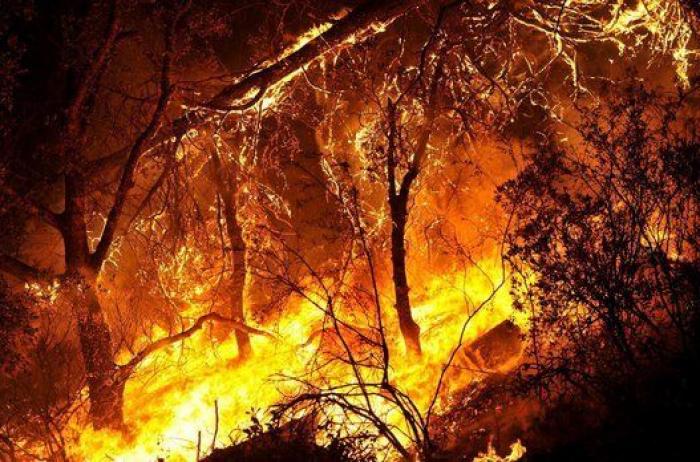 15 imágenes impresionantes de los incendios de California (FOTOS)