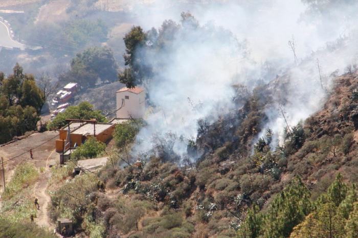 Gran Canaria vuelve a arder: más de 2.000 personas han sido evacuadas