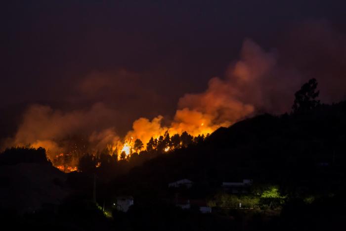 El vídeo viral de unos bomberos adentrándose en un zulo para salvar varios perros en pleno incendio de Gran Canaria