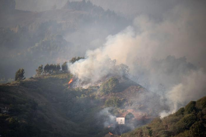 Las imágenes de la catástrofe ambiental de Canarias