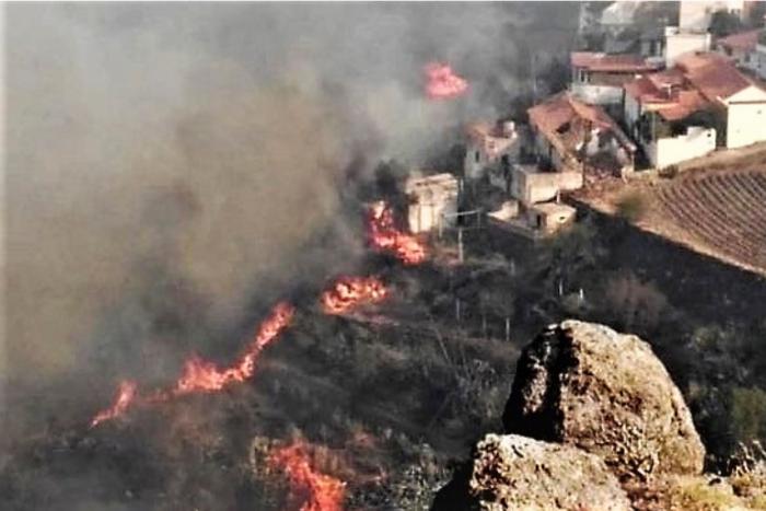 La recuperación completa de la zona del incendio en Gran Canaria tardará "al menos 20 años"