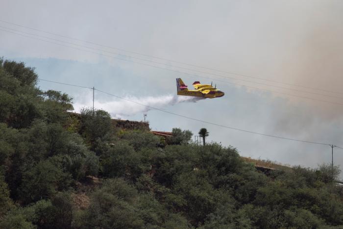 La recuperación completa de la zona del incendio en Gran Canaria tardará "al menos 20 años"